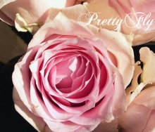 他の写真1: 【一種の花で束ねるシンプルブーケ】OnlyPinkRose〜ピンクのバラ花束