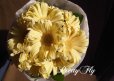 画像3: 【一種の花で束ねるシンプルブーケ】OnlyGerbera〜ガーベラ パスタの花束 (3)