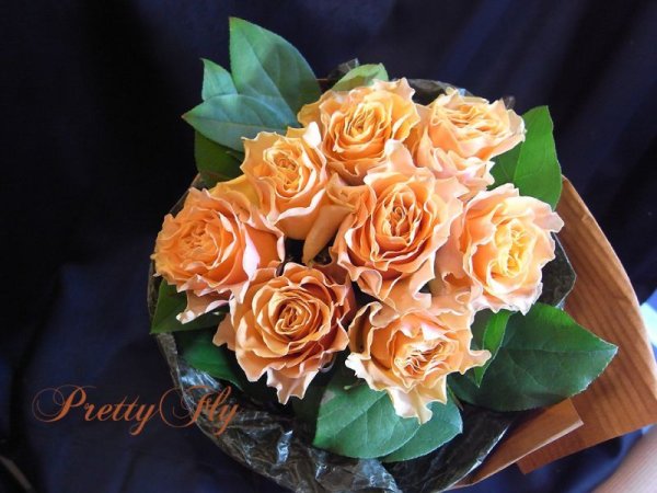 画像2: 【一種の花で束ねるシンプルブーケ】OnlyOrangeRose〜バラ オレンジの花束