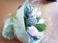 画像5: 【一種の花で束ねるシンプルブーケ】Only　Hyacinth〜ヒヤシンスの花束 (5)