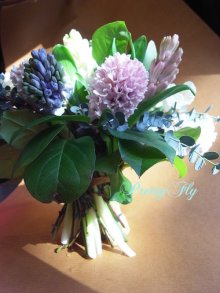 他の写真2: 【一種の花で束ねるシンプルブーケ】Only　Hyacinth〜ヒヤシンスの花束