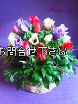 【一種の花アレンジメント】Anemone as one 〜アネモネのアレンジメント