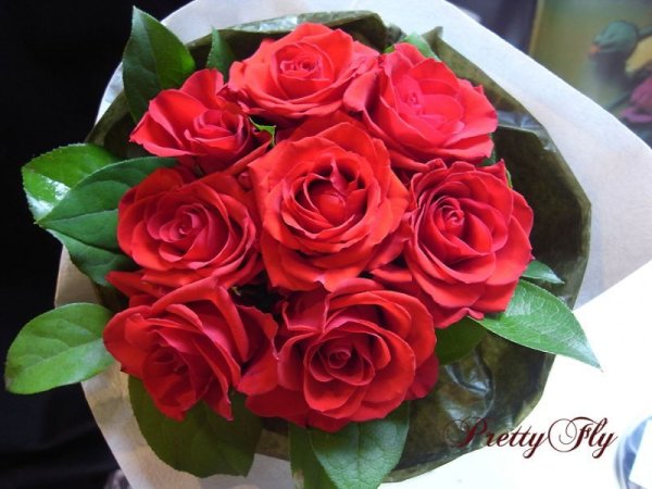 画像2: 【一種の花で束ねるシンプルブーケ】OnlyRedRose〜赤いバラ花束