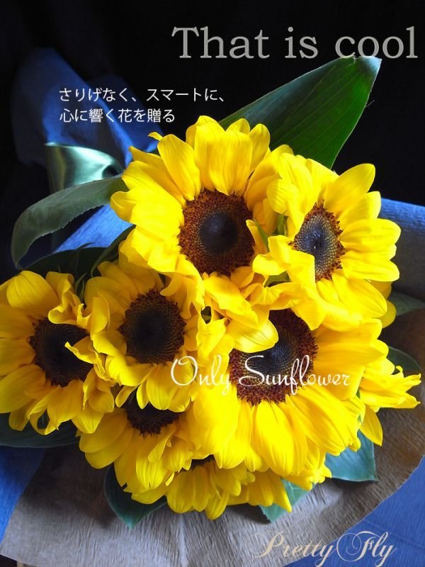 画像5: 【一種の花で束ねるシンプルブーケ】OnlySunflower〜ひまわりの花束