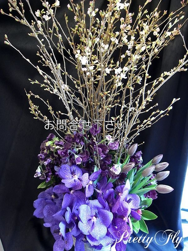 画像3: 桜アレンジメント〜ディープロイヤルパープル deep royal purpleSP200