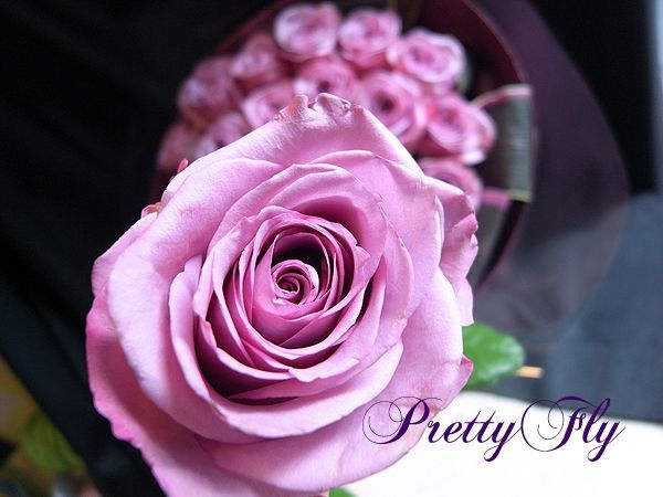 紫のバラ花束 プレゼント〜全国発送可。尊敬の花言葉を持つバラギフト