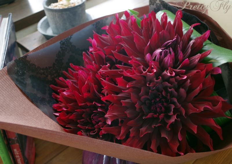 ダリアのプレゼントは品質とデザインを重視した花屋プリティフライにおまかせ下さい