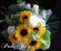 画像1: ブーケタイプ花束－ヒマワリの花束70 (1)