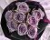画像1: 【紫のバラ花束】パープルROSE '' PurpleROSE8 '' (1)